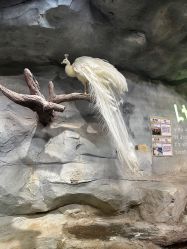 -Zoolung Zoolung动物主题公园(海信广场店)