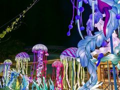 -海合安武汉极地海洋公园