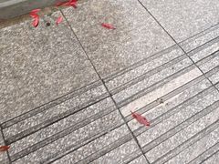 -索拉古贝(义乌北苑店)