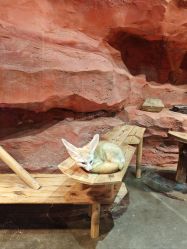 -Zoolung Zoolung动物主题公园(海信广场店)