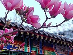 -丰台花园