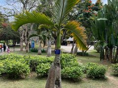 -中国科学院西双版纳热带植物园