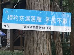 -东湖落雁景区