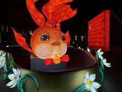 -琅岐红光湖公园