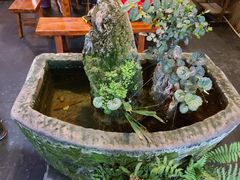 -三道苗苗鱼·美蛙黄辣丁(八里店)