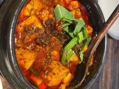 -陈麻婆豆腐(旗舰店)