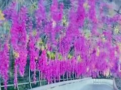 -野三坡刘家河高山漂流