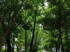 -成都市活水公园