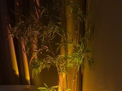 -宁采臣Sleep·采耳·SPA放松馆(湖里万达店)