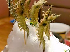 -尚海豆捞(乐虹坊店)