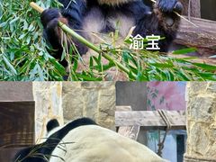 -无锡动物园·太湖欢乐园