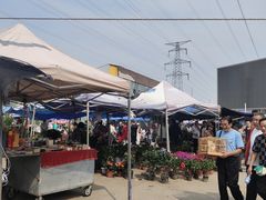 -中环花鸟鱼虫市场