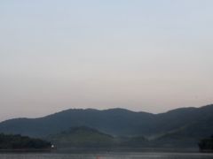 -杨氏青龙虾·羊蝎子(金盛路总店)