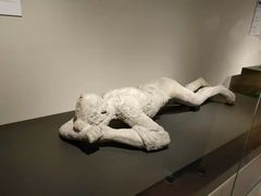 -东京国立博物馆