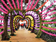 -北海金海湾红树林生态旅游区