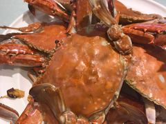 -赶海部落海鲜城(海阳路店)