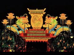 -广西壮族自治区药用植物园