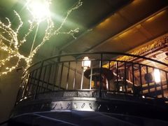 -土蚝·高压锅生蚝(百姓美食街店)