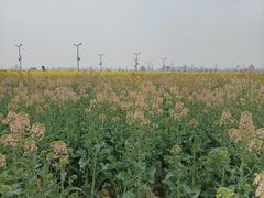 -中国天府农业博览园