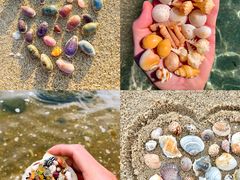 -坛南湾阿强农家乐.海鲜大排档老字号(福州地标美食店)