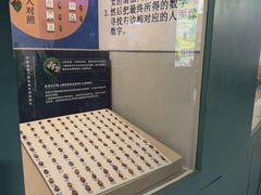 -上海大自然野生昆虫馆(东方明珠·爬宠昆虫探索中心)