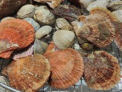 -海味当家·蒸锅海鲜(星海公园店)