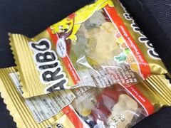 -柏萃动物医院·骨科·牙科