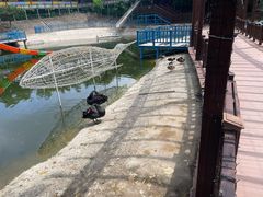 -北京鹿世界主题园