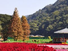 -广州市石门国家森林公园