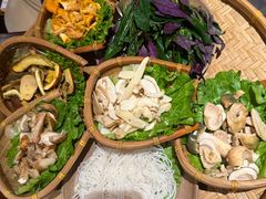 -滇野云南野生菌餐厅(陕西南路店)