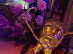 -好乐迪(张扬路八佰伴店)