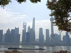 -Wolfgang’s Steakhouse 沃夫冈牛排馆(上海白玉兰广场店)