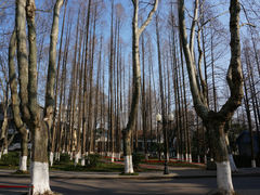-南京航空航天大学(明故宫校区)