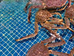 -三亚火车头万人海鲜广场