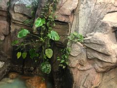 -勝記酒家·37年老字号·经典粤菜(荔枝公园店)