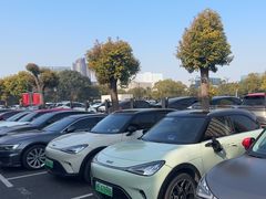 -上海浦东smart汽车全功能店(金桥店)