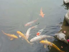 -檀园