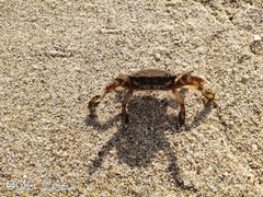 -西涌国际滨海旅游区