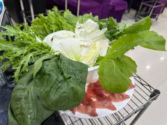 -蒙星月涮肚火锅城(宏运家园店)