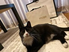 -maje(港汇恒隆广场店)