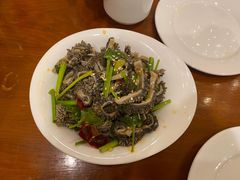 拌羊肚-北平小馆·烤鸭·家常菜(磨房北里店)