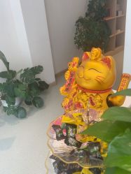 -Dr.林醫生产后修复·配方产康店(南京大厂店)