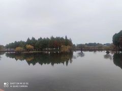 -贡湖湾湿地公园