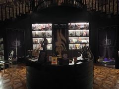 -雪灵魔法世界SHELLY’S TAROT(大良桂畔里店)