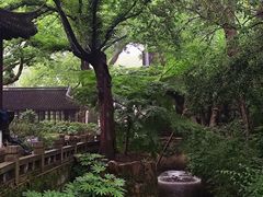 -上海醉白池公园