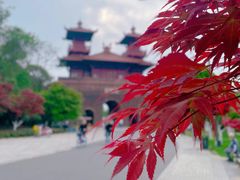 -东湖磨山景区