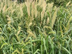 -佳明游泳馆(惠新西街南口店)