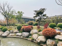 -诗经里