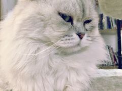 -小时光咖啡馆(开森度假森林店)