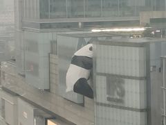 -帝京日语(春熙路旗舰校区)